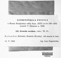 Montanelia sorediata image